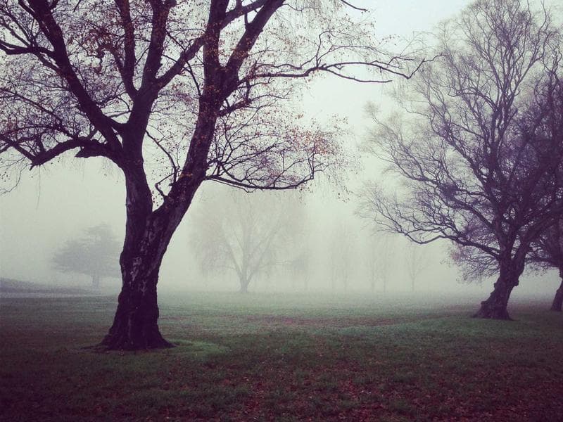 ProgRami POS screenshot 2