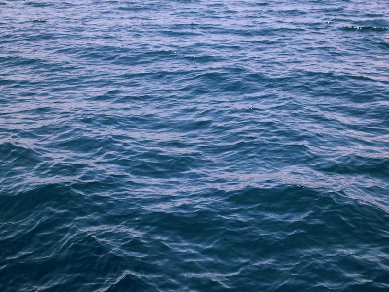 ProgRami PROD screenshot 1