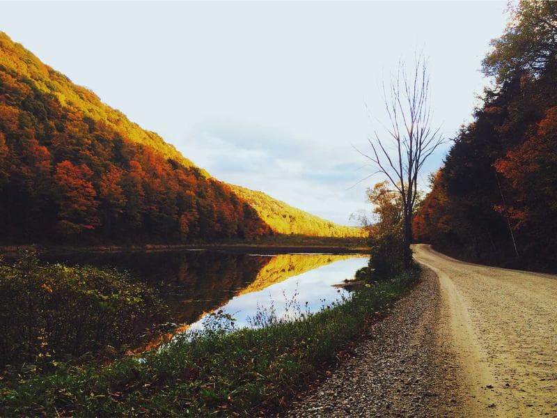 ProgRami REP screenshot 2